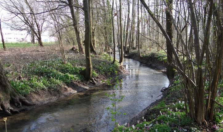 Lieu dit de la Saussaie : cours d'eau après restauration