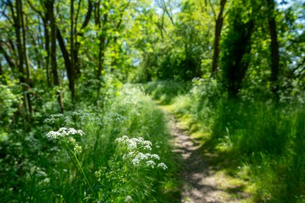 Ancienne voie de chemin de fer de coin sur seille