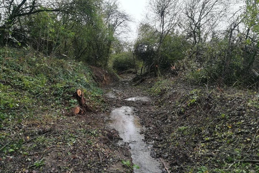 Mécleuves : traitement de la végétation du ruisseau de Champel