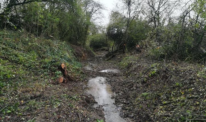 Mécleuves : traitement de la végétation du ruisseau de Champel