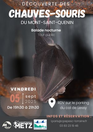 Affiche découverte des chauves souris du Mont Saint Quentin