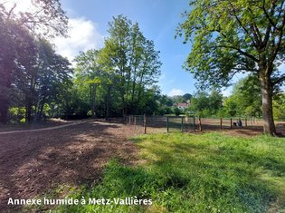 photo de l'annexe humide de metz vallière