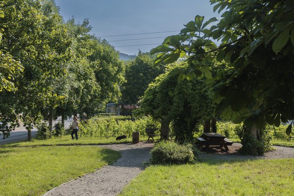 Rozérieulles square aménagement fonds verts