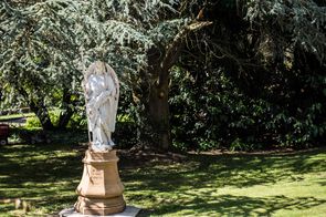 statue religieuse devant un grand arbre majestueux
