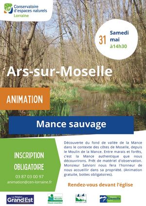 Animation Mance Sauvage - le samedi 31 mai à 14h30 - Description avant l'image