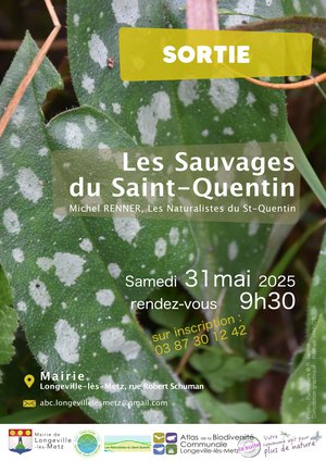 Affiche sortie au mont saint quentin