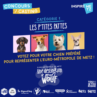 Affiche pour les petites pattes