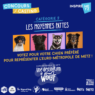 Affiche pour les moyennes pattes
